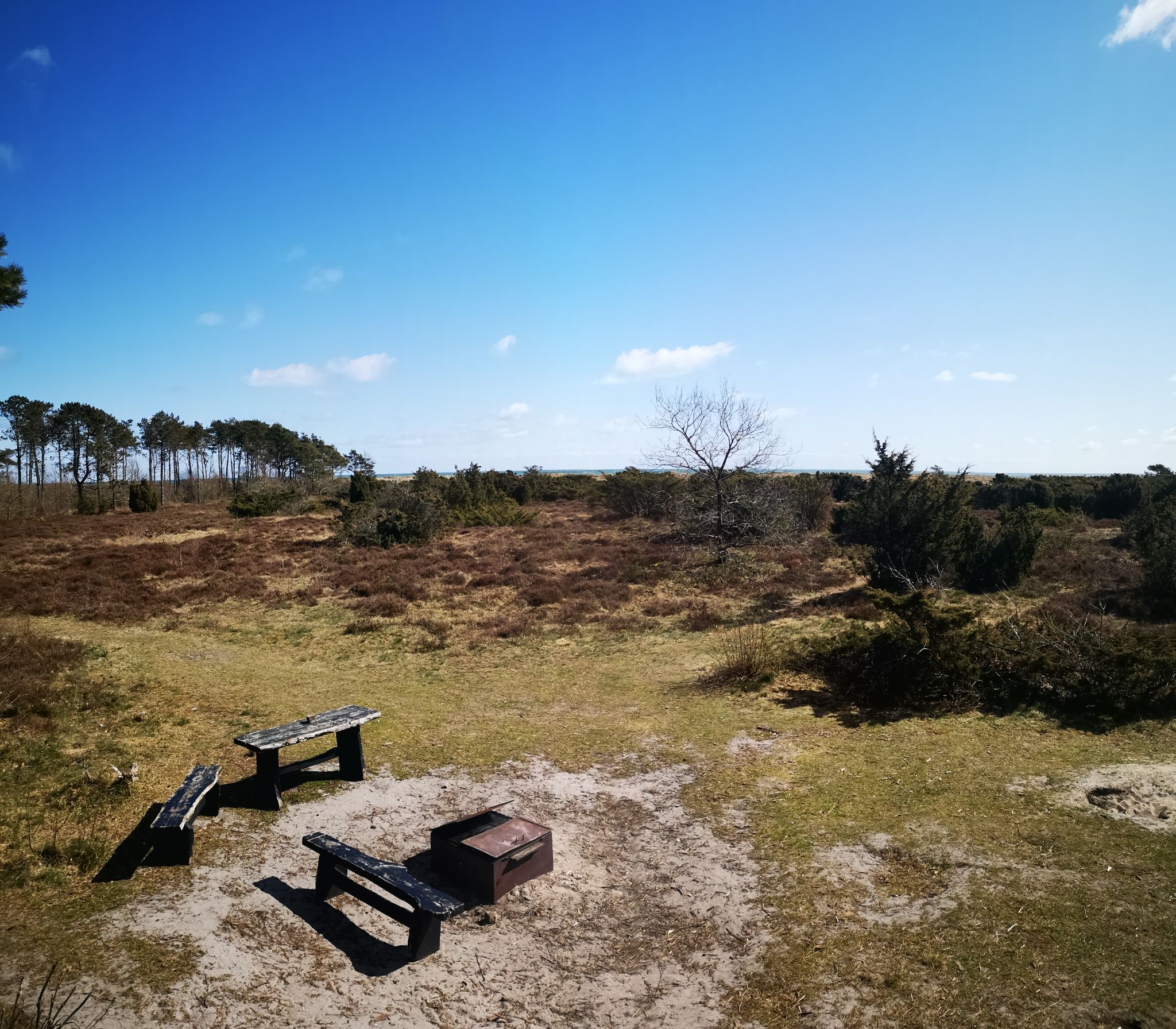 Professorens Plantage