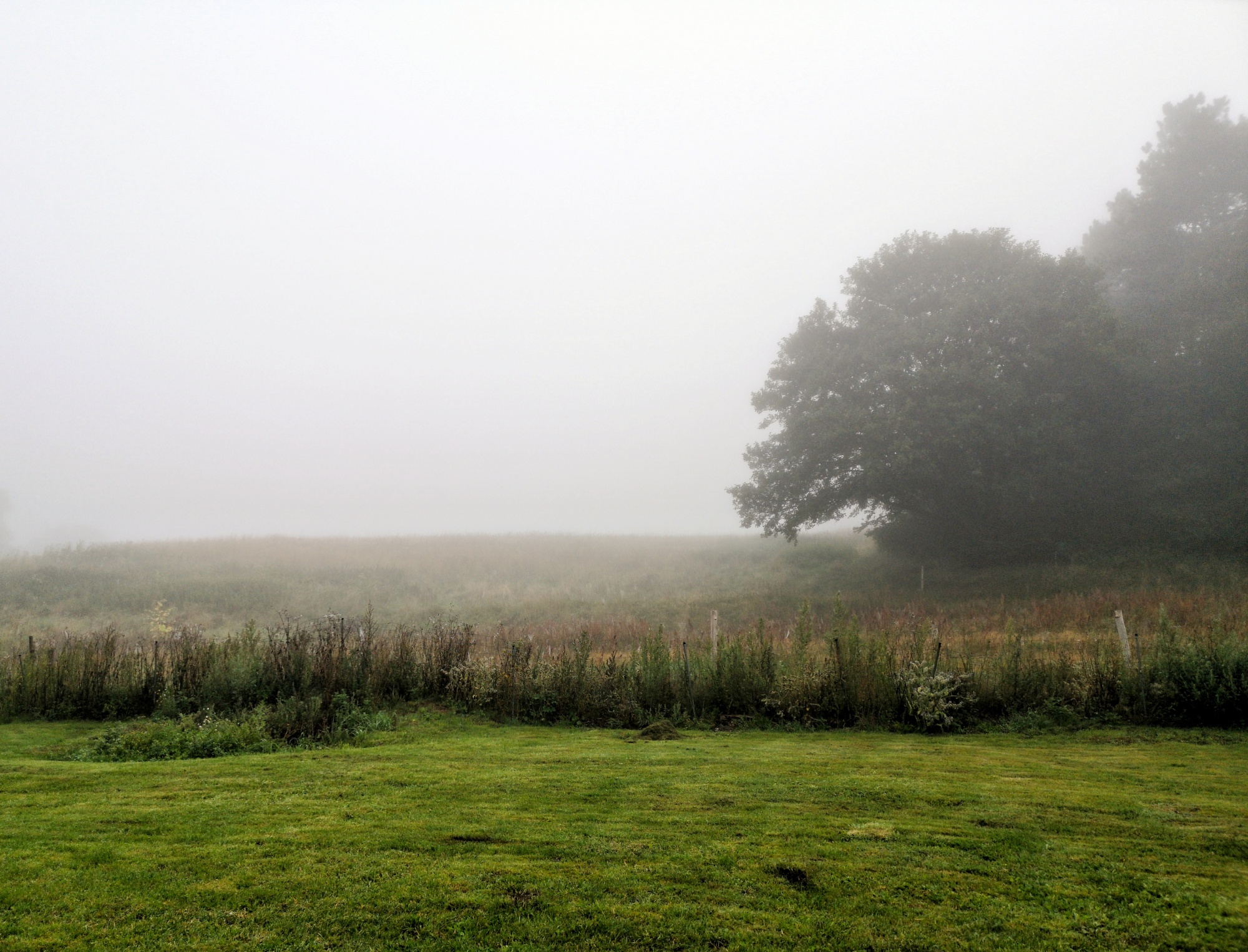 IMG 20190824 071302 01